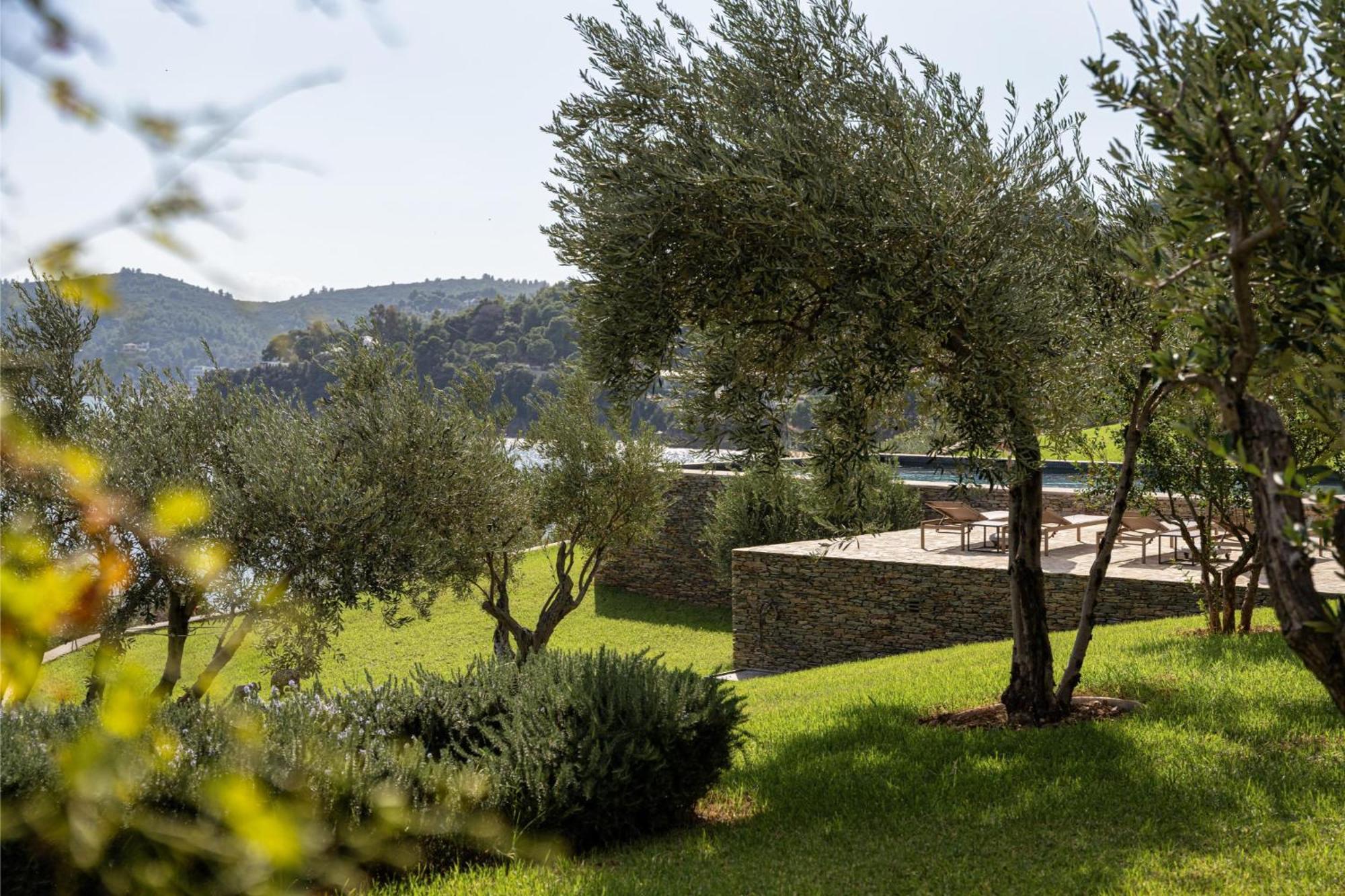 Pelagoon Skiathos 아클라디에스 객실 사진